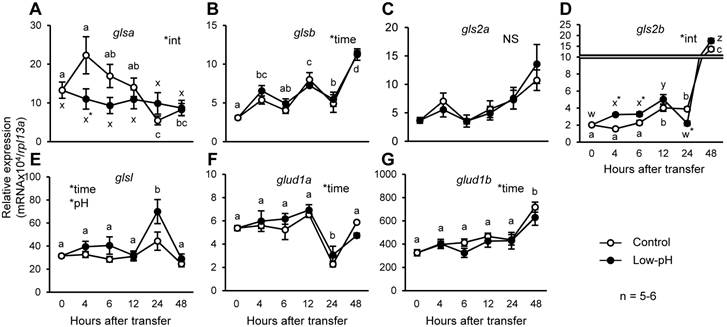 Int J Biol Sci Image