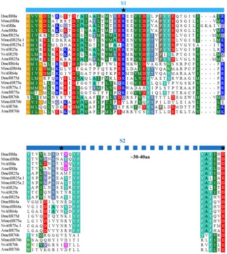 Int J Biol Sci Image