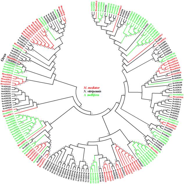 Int J Biol Sci Image