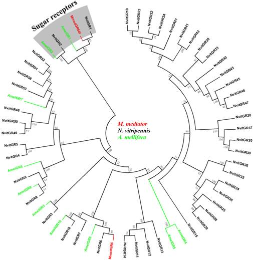 Int J Biol Sci Image