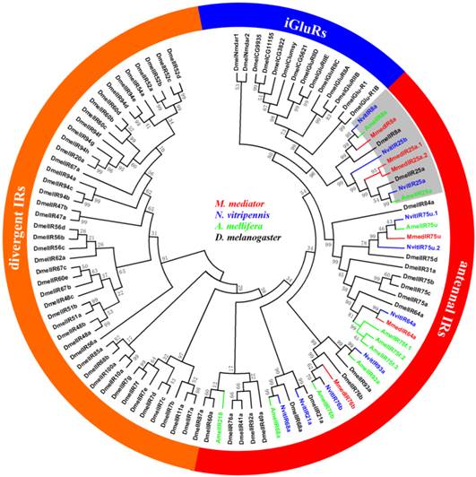 Int J Biol Sci Image