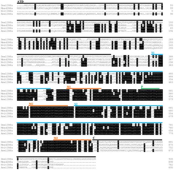 Int J Biol Sci Image