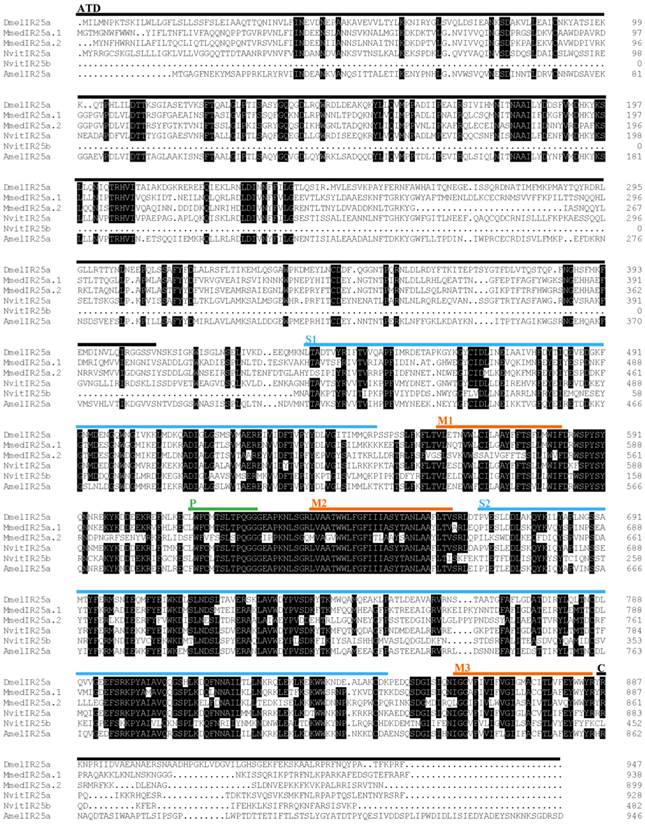 Int J Biol Sci Image