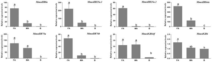 Int J Biol Sci Image