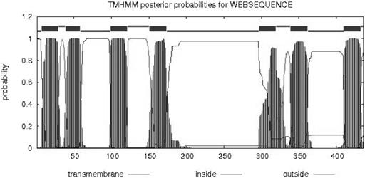 Int J Biol Sci Image