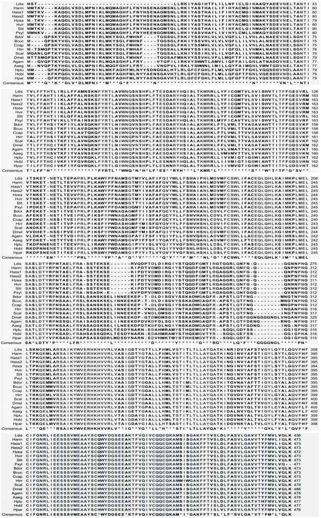 Int J Biol Sci Image