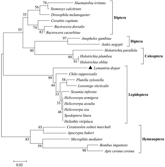 Int J Biol Sci Image