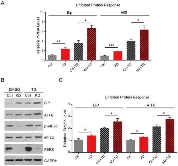 Int J Biol Sci Image