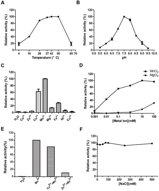 Int J Biol Sci Image