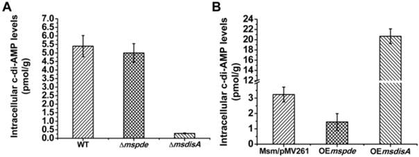 Int J Biol Sci Image