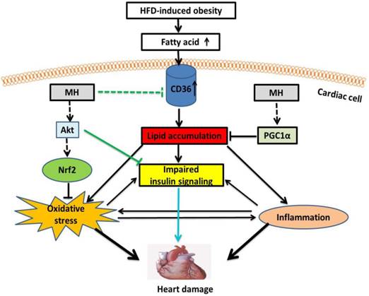 Int J Biol Sci Image