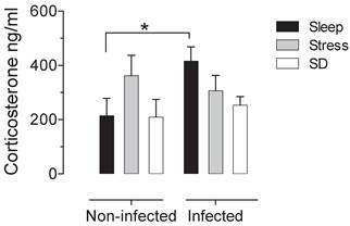 Int J Biol Sci Image