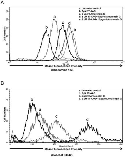 Int J Biol Sci Image