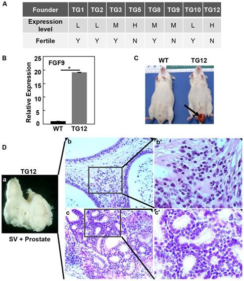 Int J Biol Sci Image