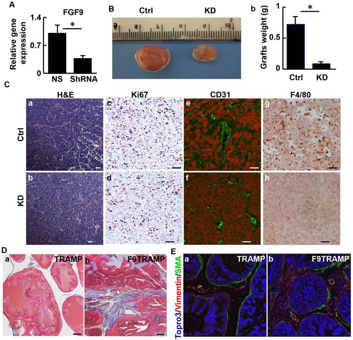 Int J Biol Sci Image