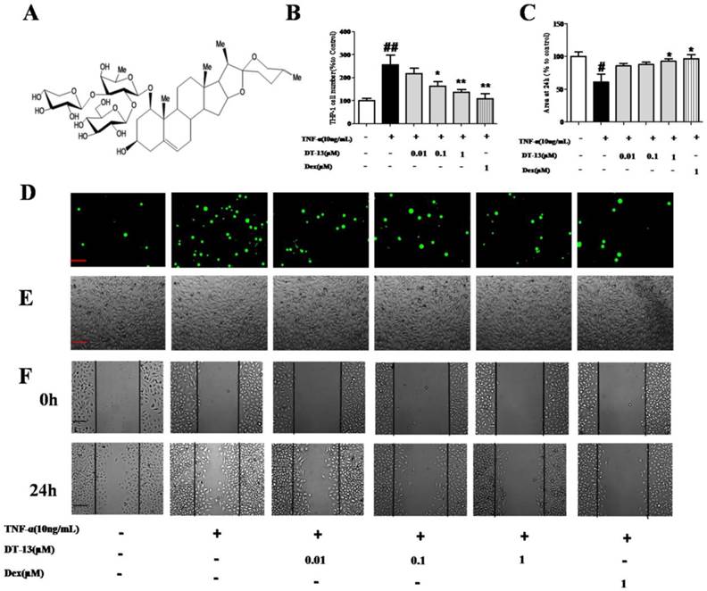 Int J Biol Sci Image