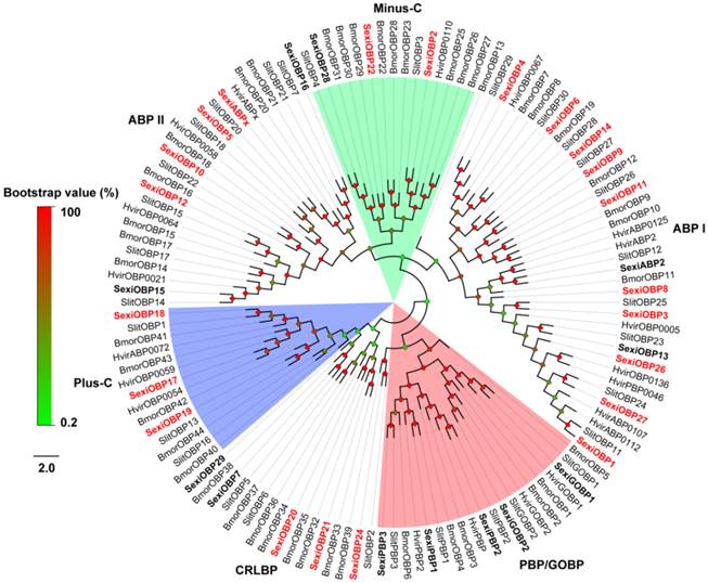 Int J Biol Sci Image