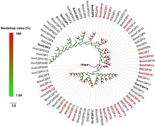 Int J Biol Sci Image