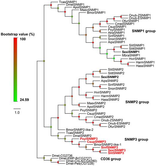 Int J Biol Sci Image