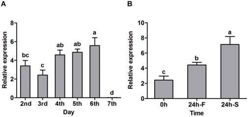 Int J Biol Sci Image