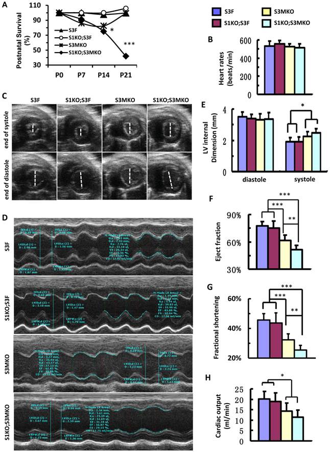 Int J Biol Sci Image