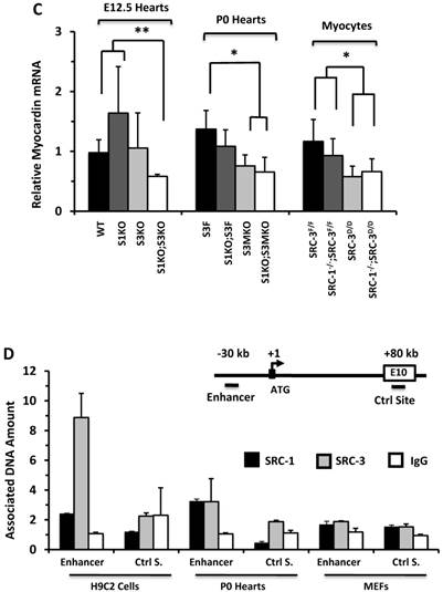 Int J Biol Sci Image