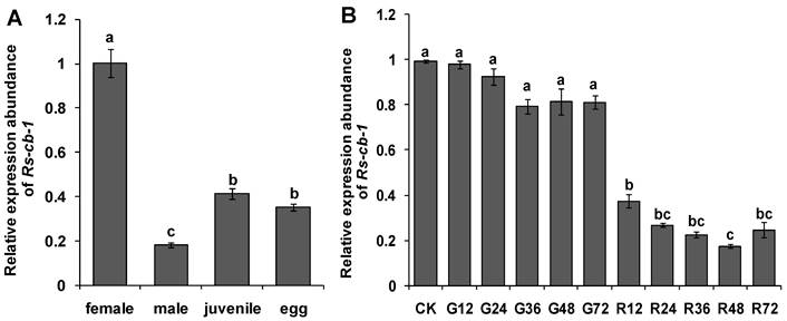 Int J Biol Sci Image