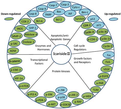 Int J Biol Sci Image