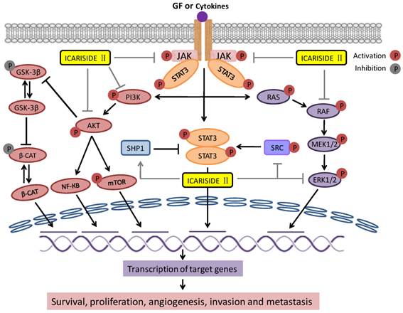 Int J Biol Sci Image