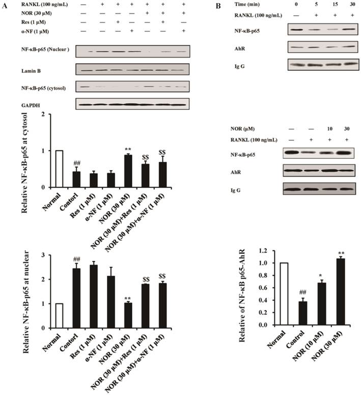 Int J Biol Sci Image