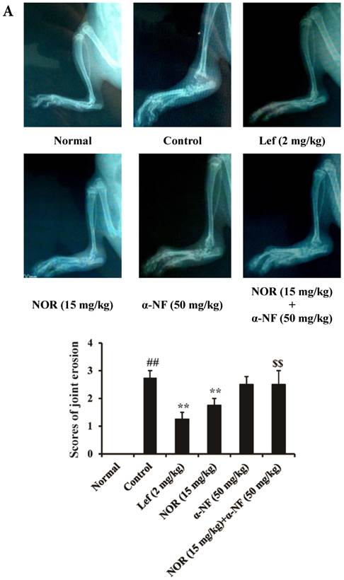 Int J Biol Sci Image