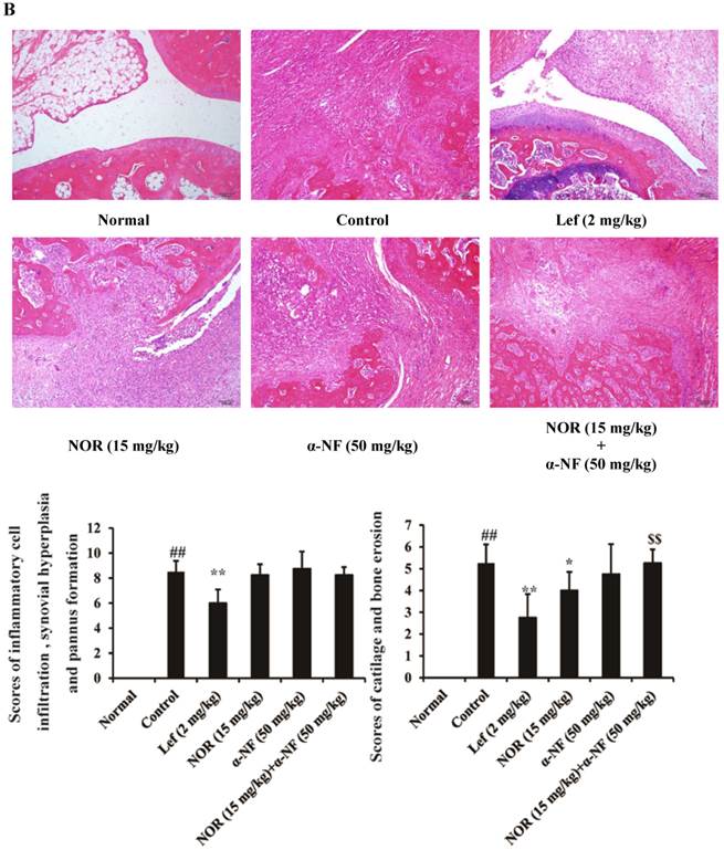 Int J Biol Sci Image