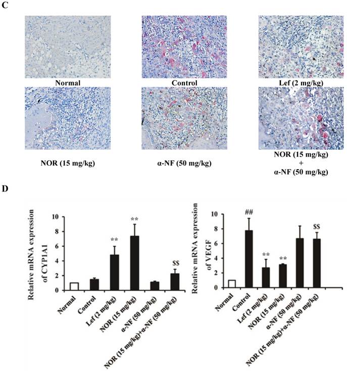 Int J Biol Sci Image