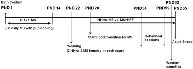 Int J Biol Sci Image