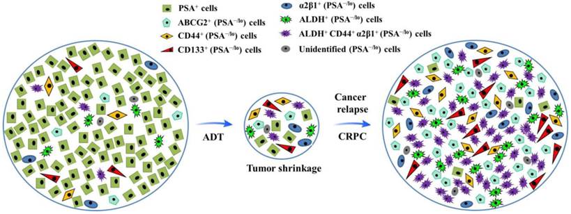 Int J Biol Sci Image