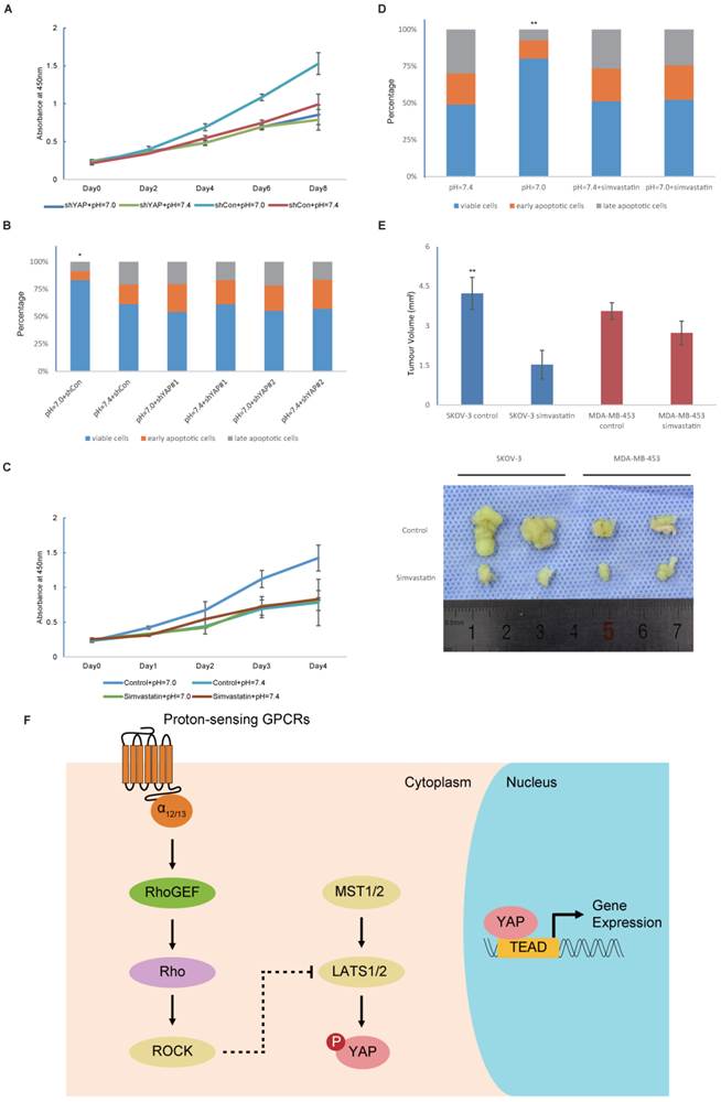 Int J Biol Sci Image