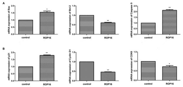 Int J Biol Sci Image