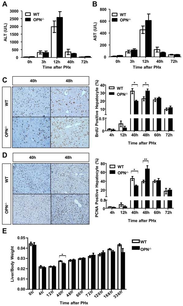 Int J Biol Sci Image