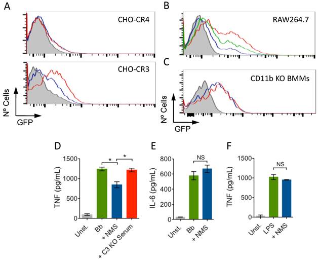 Int J Biol Sci Image