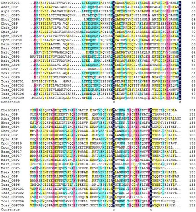 Int J Biol Sci Image