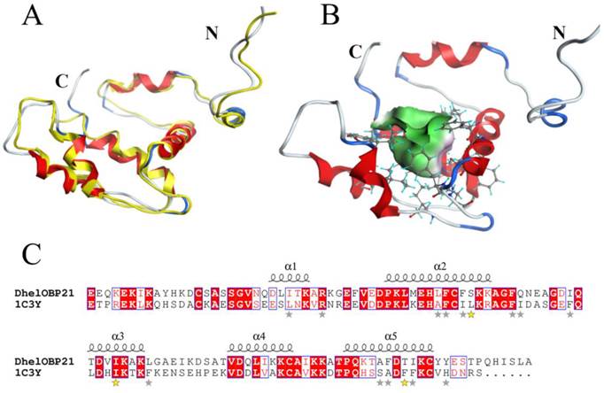 Int J Biol Sci Image