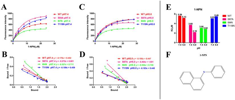 Int J Biol Sci Image