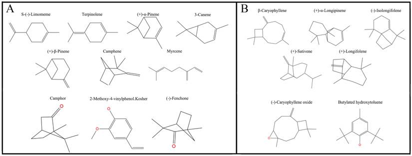 Int J Biol Sci Image