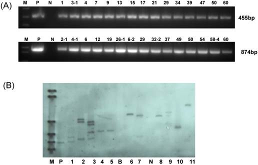 Int J Biol Sci Image