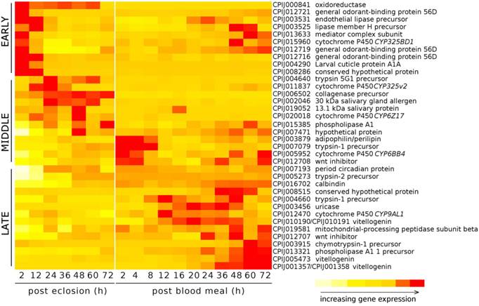 Int J Biol Sci Image