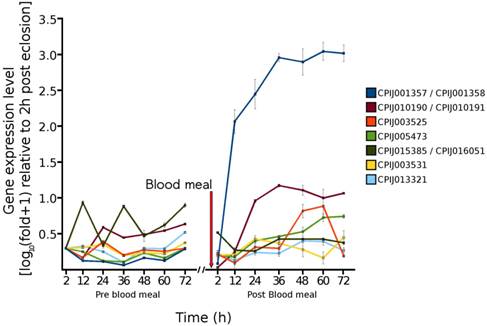 Int J Biol Sci Image