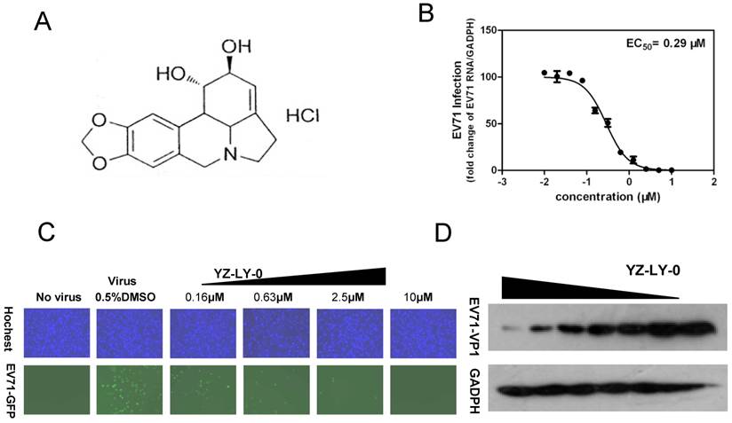 Int J Biol Sci Image