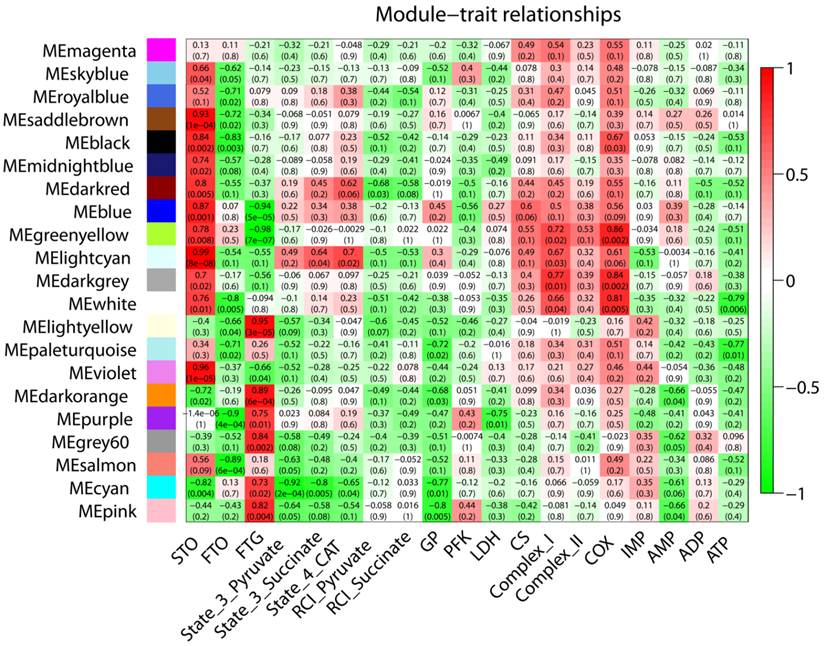 Int J Biol Sci Image