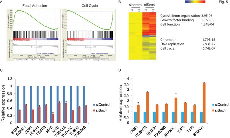 Int J Biol Sci Image