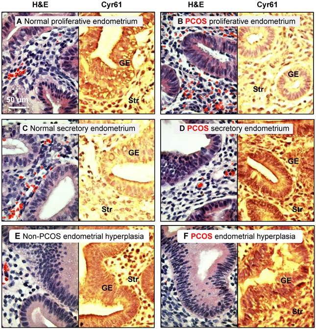 Int J Biol Sci Image